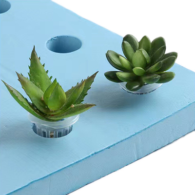 【EVA海绵水培板】无土栽培水上漂浮海绵板花生芽水培箱水稻种植浮床