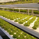 【水培蔬菜种植板】温室无土栽培漂浮设备全套水上种植带孔珍珠棉海绵